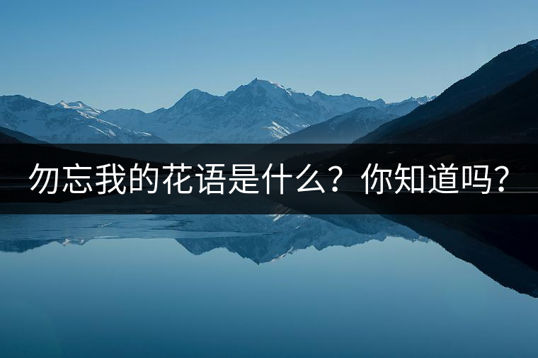 勿忘我的花語是什么？你知道嗎？