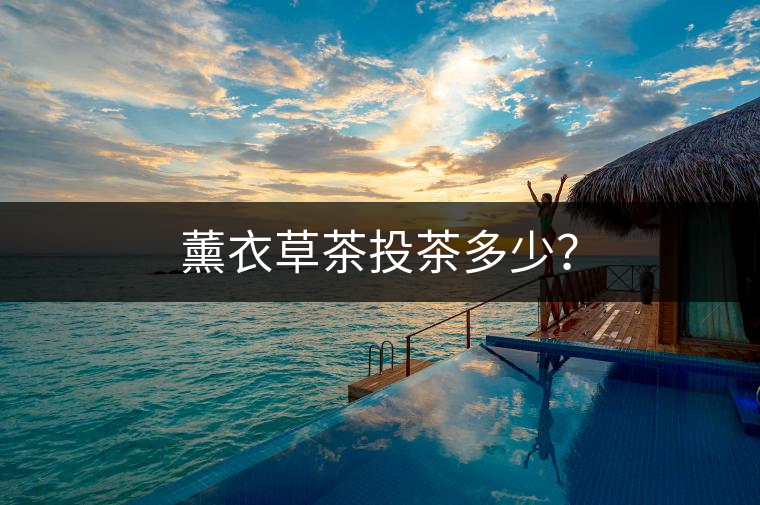 薰衣草茶投茶多少? 薰衣草茶投茶多少?
