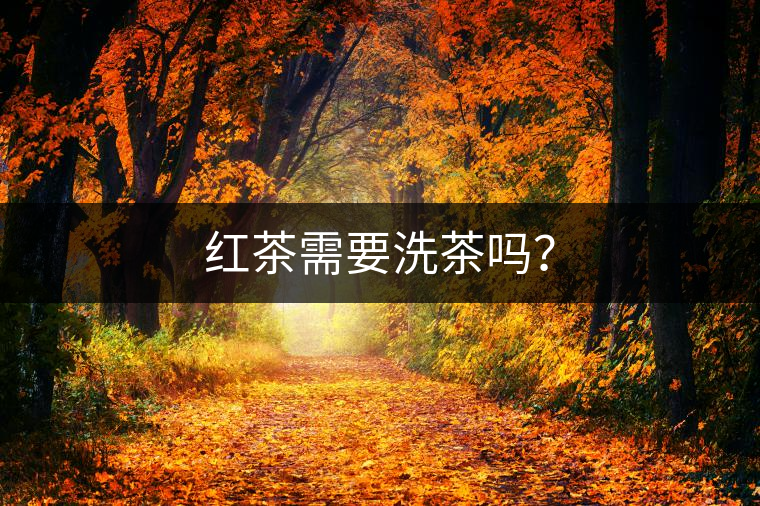 紅茶需要洗茶嗎? 紅茶需要洗茶嗎?