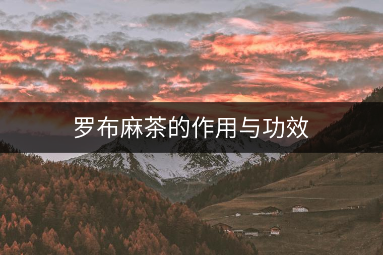 羅布麻茶的作用與功效