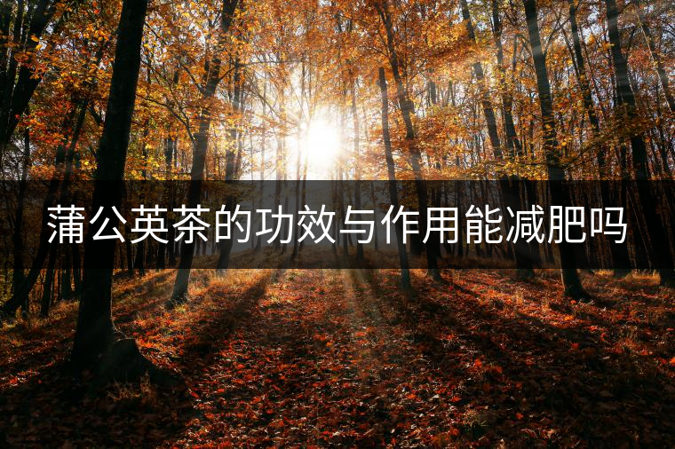 蒲公英茶的功效與作用能減肥嗎 蒲公英茶的功效與作用能減肥嗎