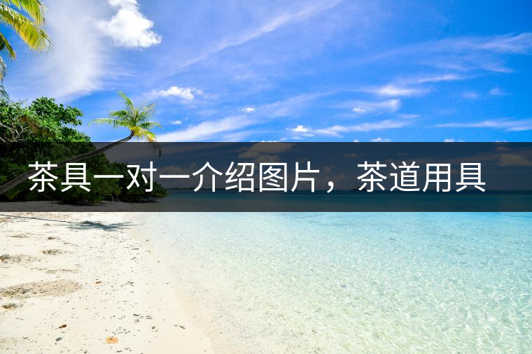 茶具一對一介紹圖片,茶道用具圖解 茶具一對一介紹圖片,茶道用具圖解