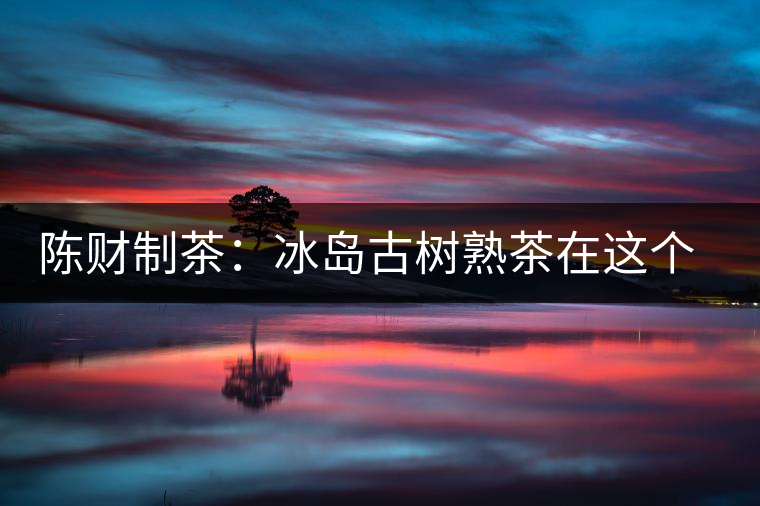 陳財制茶:冰島古樹熟茶在這個世界真的存在嗎? 陳財制茶:冰島古樹熟茶在這個世界真的存在嗎?