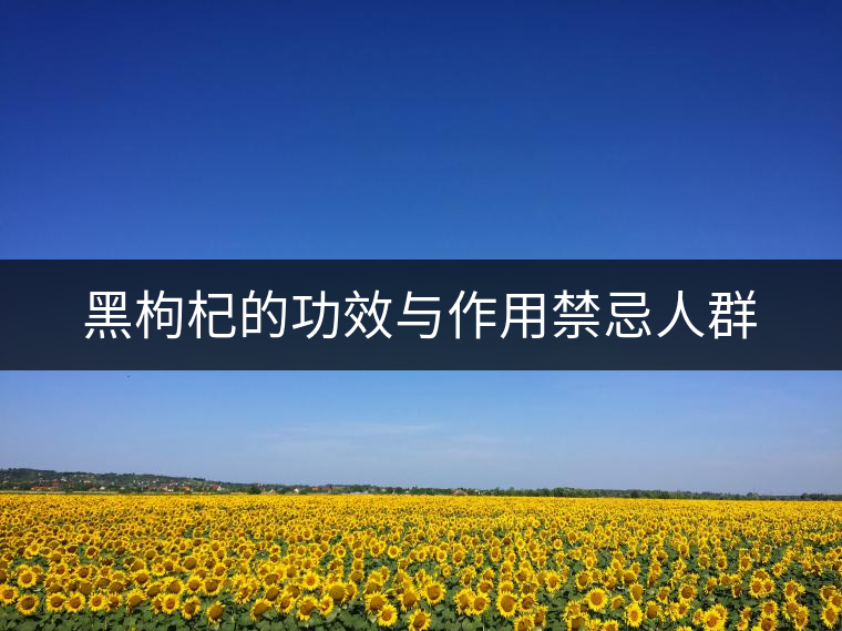 黑枸杞的功效與作用禁忌人群