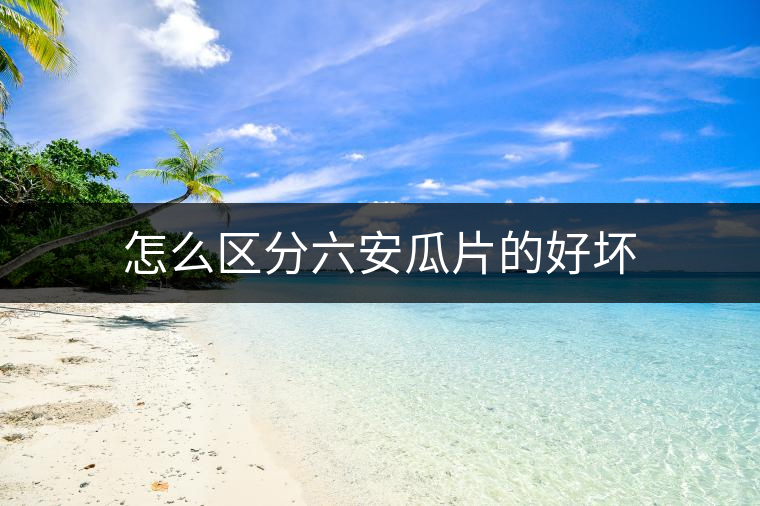 怎么區分六安瓜片的好壞 怎么區分六安瓜片的好壞