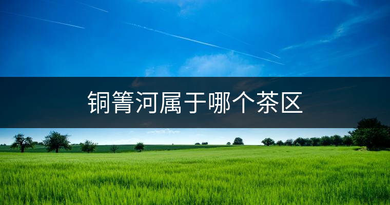 銅箐河屬于哪個茶區 銅箐河屬于哪個茶區