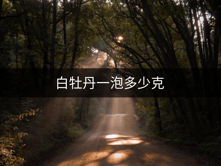 白牡丹一泡多少克 白牡丹一泡多少克