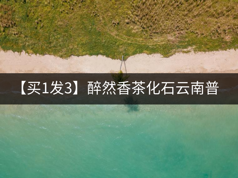 【買1發3】醉然香茶化石云南普洱茶碎銀子古樹茶糯米香茶葉共375g