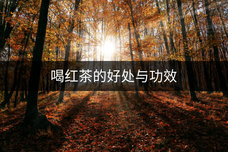 喝紅茶的好處與功效