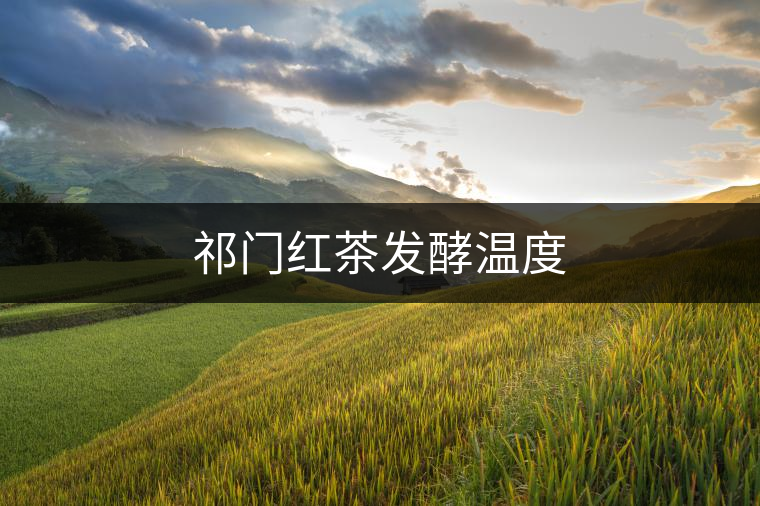 祁門紅茶發酵溫度