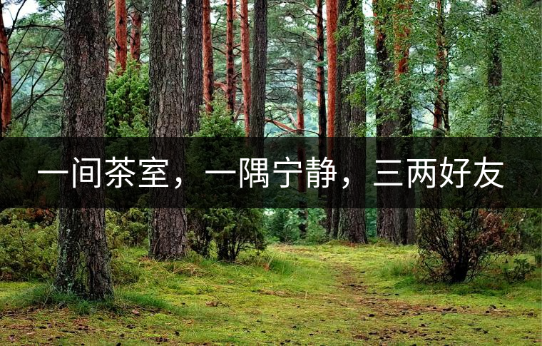 一間茶室,一隅寧靜,三兩好友 一間茶室,一隅寧靜,三兩好友
