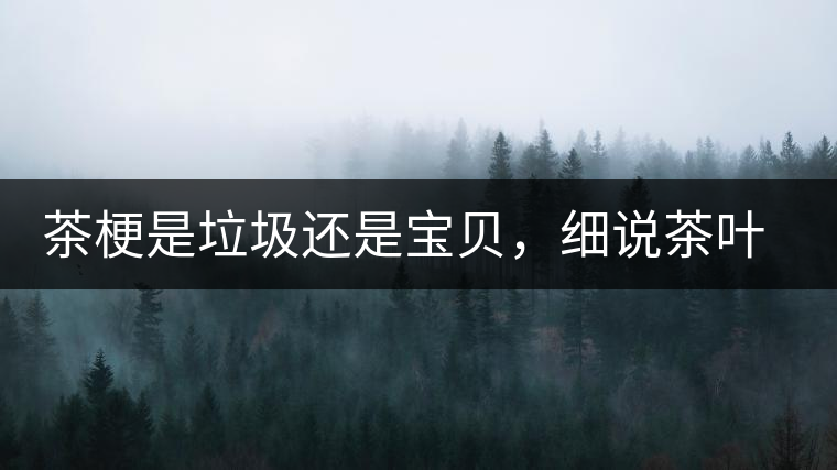 茶梗是垃圾還是寶貝,細(xì)說茶葉的那些梗 茶梗是垃圾還是寶貝,細(xì)說茶葉的那些梗