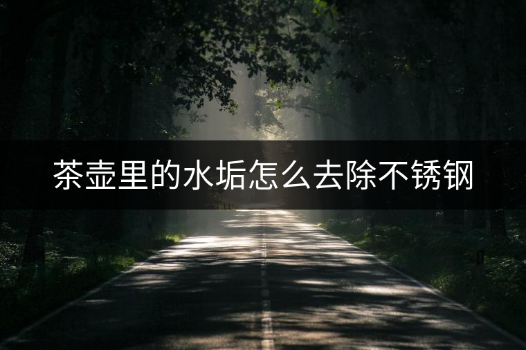 茶壺里的水垢怎么去除不銹鋼 茶壺里的水垢怎么去除不銹鋼