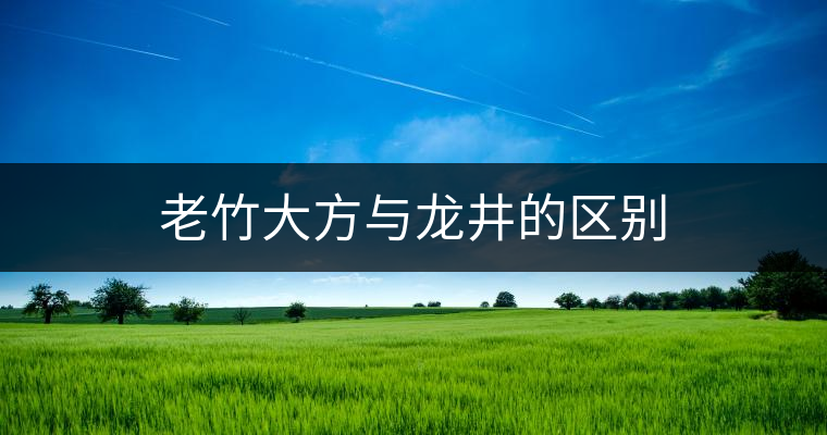 老竹大方與龍井的區別