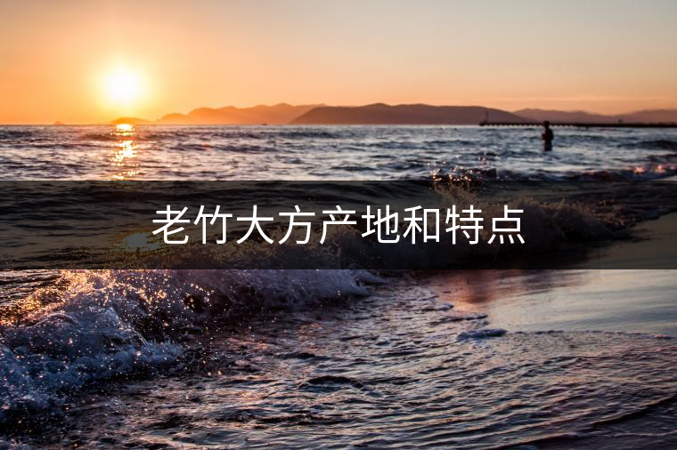 老竹大方產地和特點 老竹大方產地和特點