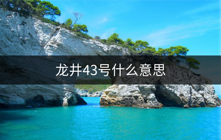 龍井43號(hào)什么意思 龍井43號(hào)什么意思