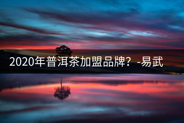 2020年普洱茶加盟品牌?-易武中聘號(hào) 2020年普洱茶加盟品牌?-易武中聘號(hào)