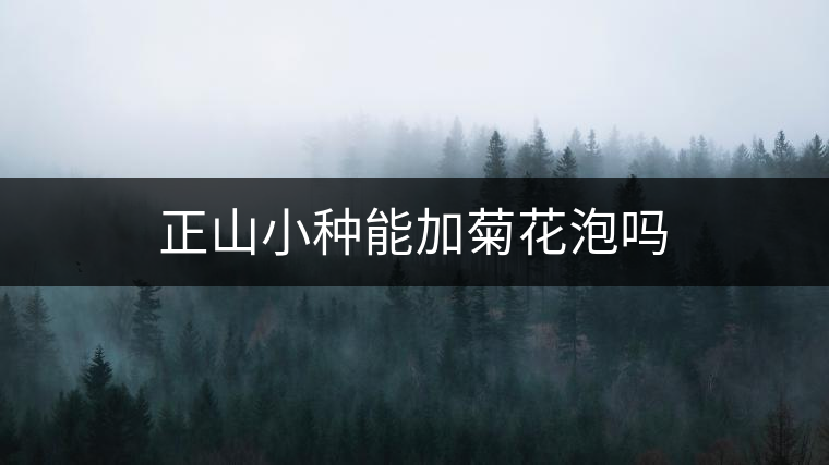 正山小種能加菊花泡嗎 正山小種能加菊花泡嗎