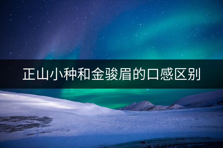 正山小種和金駿眉的口感區別