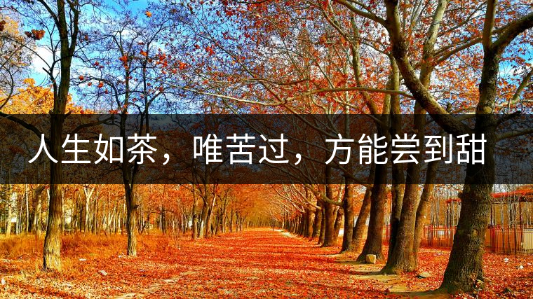 人生如茶,唯苦過,方能嘗到甜滋味 人生如茶,唯苦過,方能嘗到甜滋味