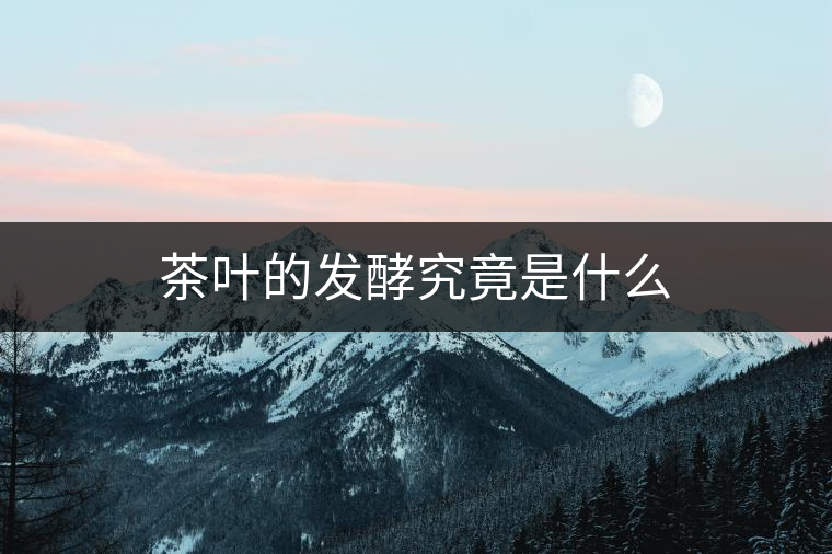 茶葉的發酵究竟是什么 茶葉的發酵究竟是什么