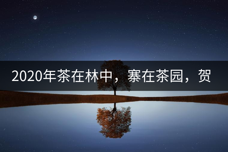 2020年茶在林中,寨在茶園,賀開古樹茶-易武中聘號 2020年茶在林中,寨在茶園,賀開古樹茶-易武中聘號