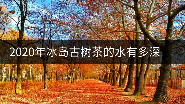 2020年冰島古樹茶的水有多深?別被蒙在鼓里啦-易武中聘號 2020年冰島古樹茶的水有多深?別被蒙在鼓里啦-易武中聘號