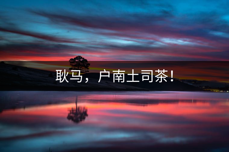 耿馬，戶南土司茶！