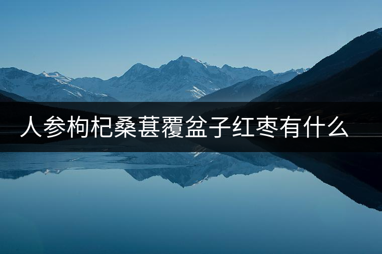 人參枸杞桑葚覆盆子紅棗有什么功效 人參枸杞桑葚覆盆子紅棗有什么功效