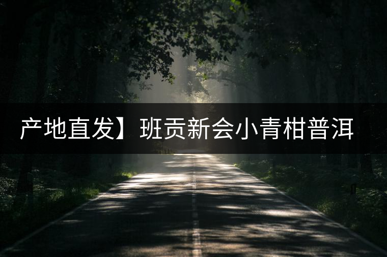 產(chǎn)地直發(fā)】班貢新會小青柑普洱茶柑普茶陳皮熟茶茶葉桔橘宮廷特級