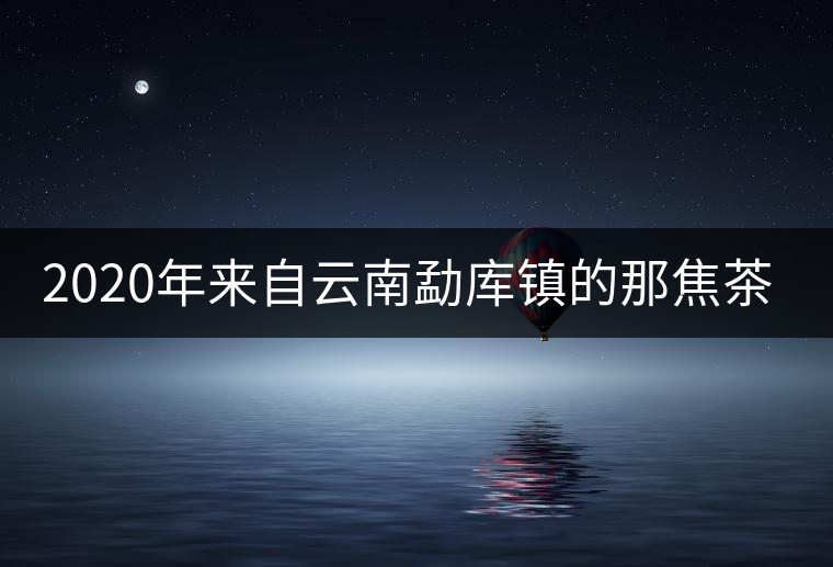 2020年來自云南勐庫鎮的那焦茶-易武中聘號