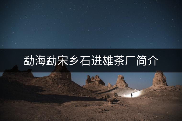 勐海勐宋鄉石進雄茶廠簡介