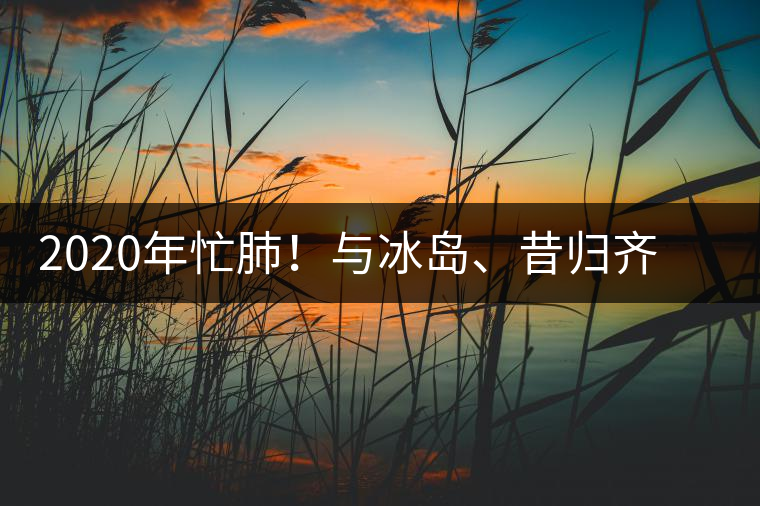 2020年忙肺!與冰島、昔歸齊名的普洱茶,到底是什么味道?-易武中聘號 2020年忙肺!與冰島、昔歸齊名的普洱茶,到底是什么味道?-易武中聘號