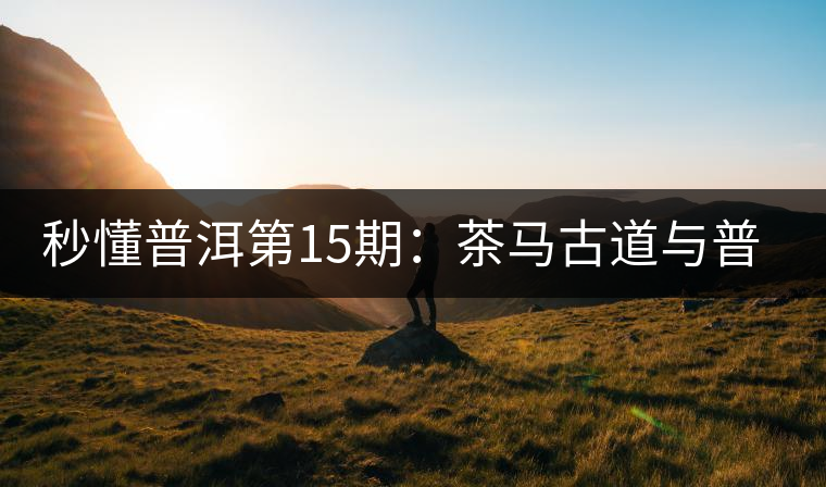 秒懂普洱第15期:茶馬古道與普洱茶有什么聯(lián)系? 秒懂普洱第15期:茶馬古道與普洱茶有什么聯(lián)系?