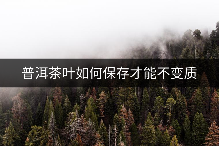 普洱茶葉如何保存才能不變質