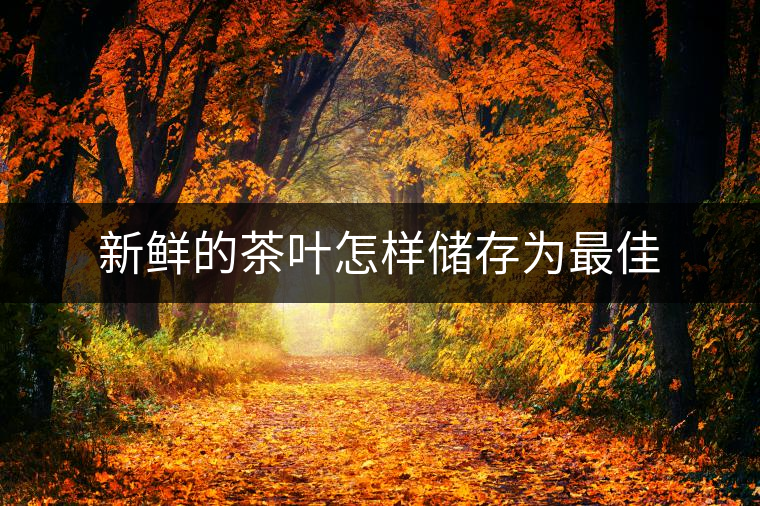 新鮮的茶葉怎樣儲存為最佳 新鮮的茶葉怎樣儲存為最佳