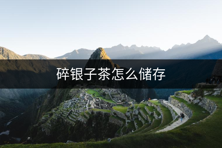 碎銀子茶怎么儲存 碎銀子茶怎么儲存