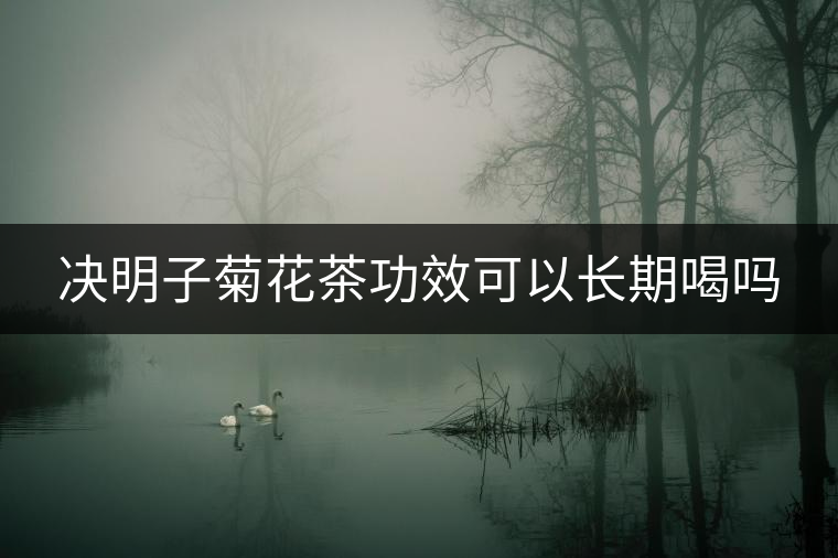 決明子菊花茶功效可以長期喝嗎