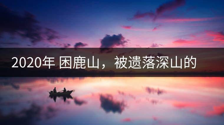 2020年 困鹿山,被遺落深山的皇家古茶園-易武中聘號 2020年 困鹿山,被遺落深山的皇家古茶園-易武中聘號