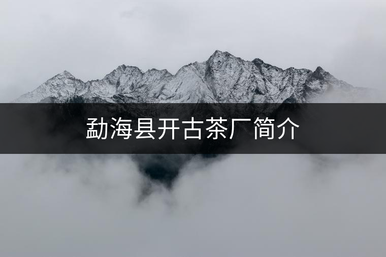 勐海縣開(kāi)古茶廠簡(jiǎn)介 勐海縣開(kāi)古茶廠簡(jiǎn)介