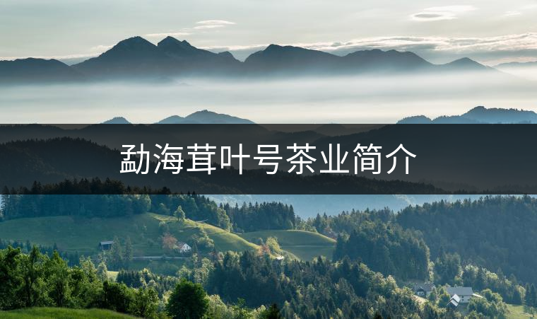 勐海茸葉號茶業簡介 勐海茸葉號茶業簡介