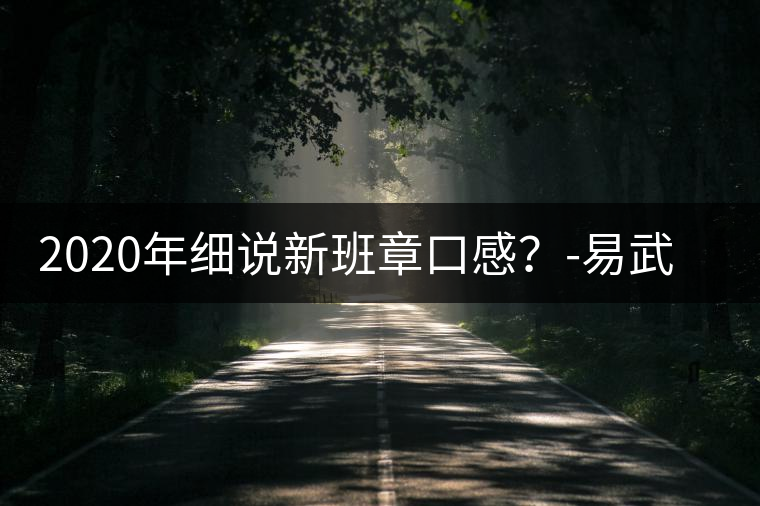 2020年細(xì)說新班章口感?-易武中聘號 2020年細(xì)說新班章口感?-易武中聘號