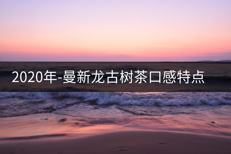 2020年-曼新龍古樹茶口感特點(diǎn)-易武中聘號(hào)