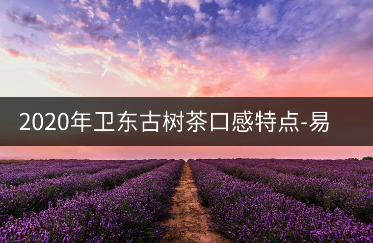 2020年衛東古樹茶口感特點-易武中聘號