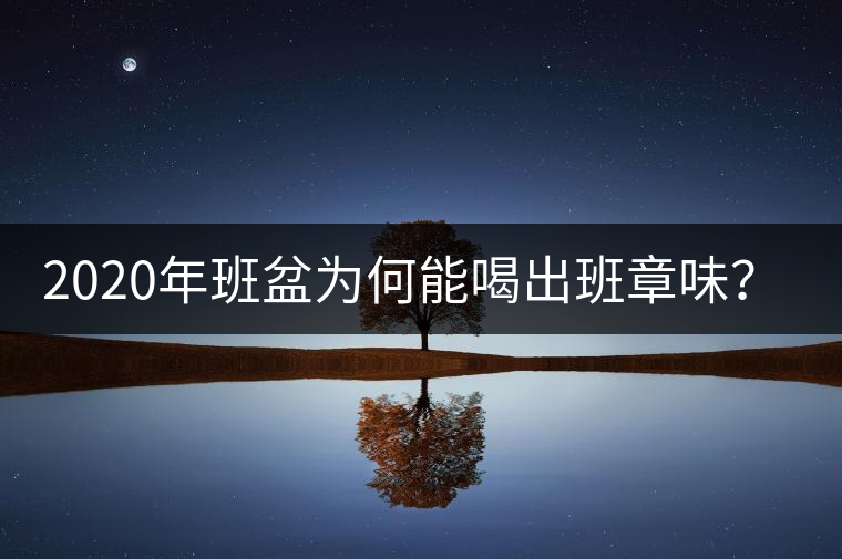 2020年班盆為何能喝出班章味?-易武中聘號 2020年班盆為何能喝出班章味?-易武中聘號