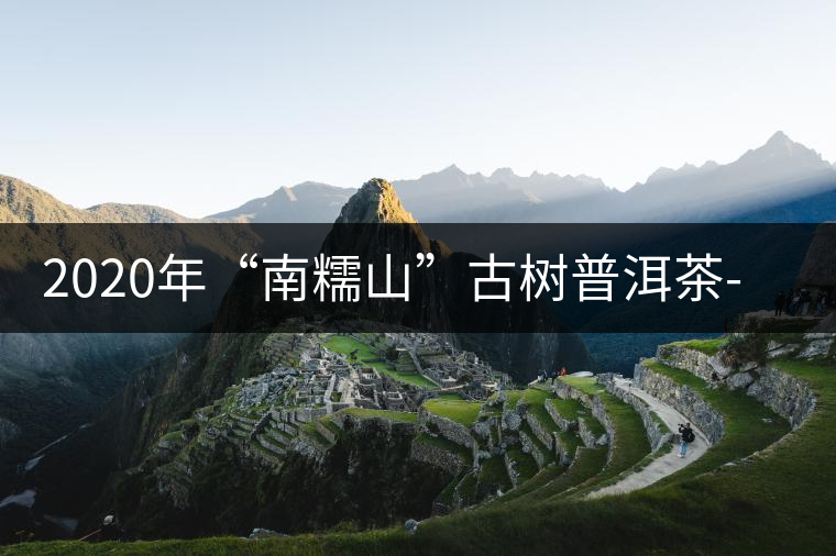 2020年“南糯山”古樹普洱茶-易武中聘號