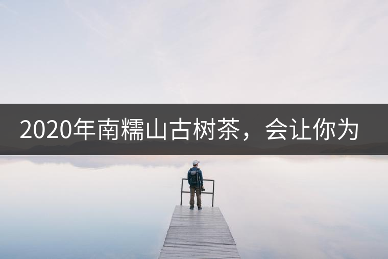 2020年南糯山古樹茶，會讓你為之著迷-易武中聘號