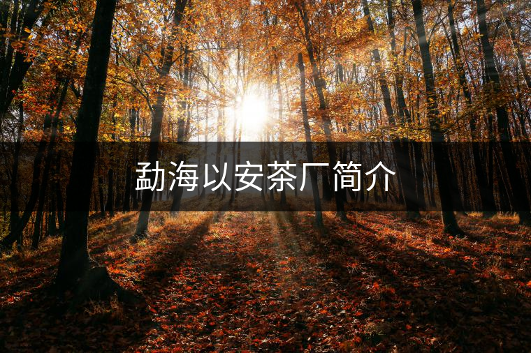 勐海以安茶廠簡(jiǎn)介