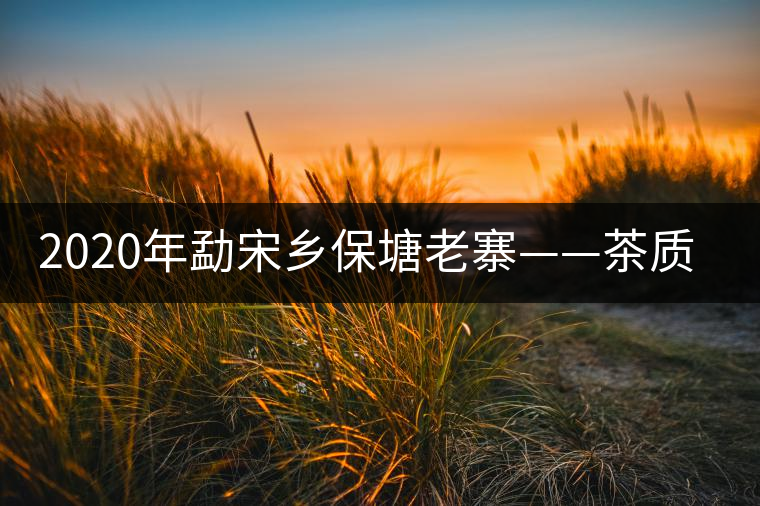 2020年勐宋鄉保塘老寨——茶質厚重,一飲難忘-易武中聘號
