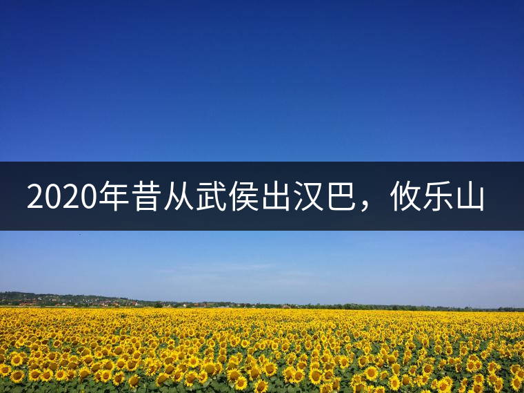 2020年昔從武侯出漢巴，攸樂山中只種茶。-易武中聘號